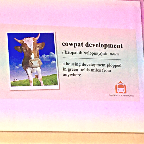 Cowpat development.