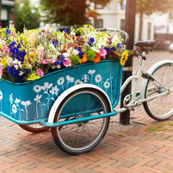 Cargo bike with flowers square image.